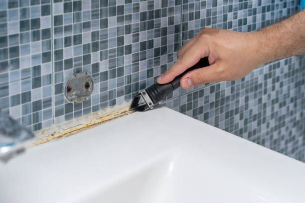 Best Residential Mold Removal  in Abita Springs, LA