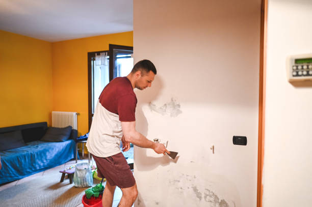 Mold Testing and Removal in Abita Springs, LA